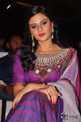 Dhanalakshmi Thalupu Thadithe Movie Audio Launch